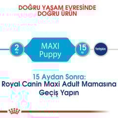 Royal Canin Maxi Puppy 10 kg Yavru Köpek Maması