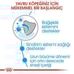 Royal Canin Maxi Puppy 10 kg Yavru Köpek Maması