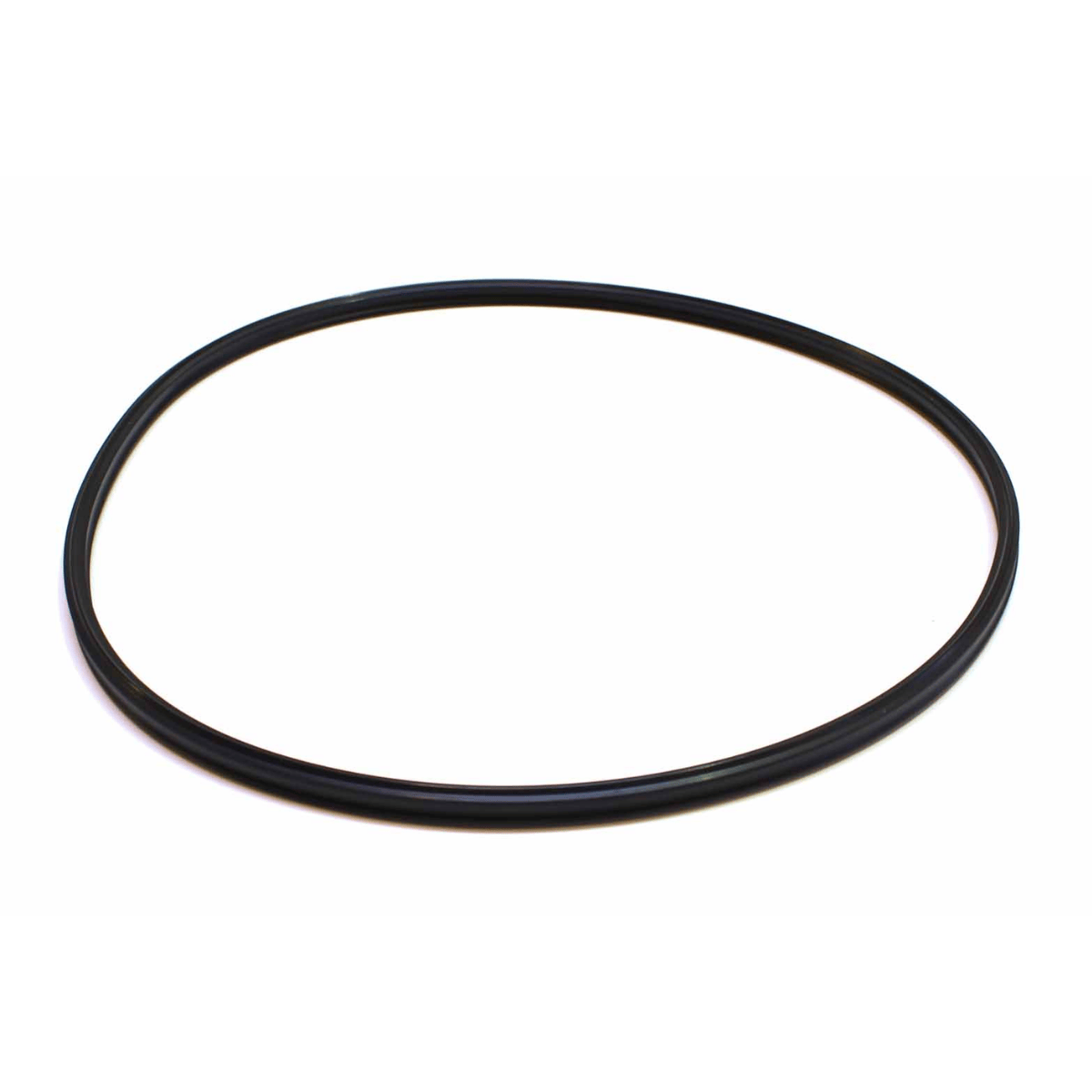 Eheim Sealing Gasket Profesyonel Seri Dış Filtre Yedek Conta