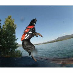 Köpek Can Yeleği Ezydog DFD Red Large 27-41 Kg