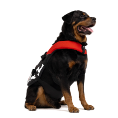 Köpek Can Yeleği Ezydog DFD Red Large 27-41 Kg