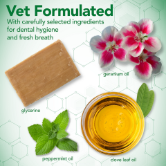 VET'S BEST Advanced Dental Foam 150 ml Köpek Ağız Bakım Köpüğü