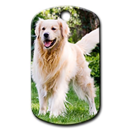 Dalis Pet Tag - Golden Retriever Köpek Künyesi Large