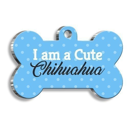 Pet Tag Art Chihuahua Mavi Kemik Şekilli Köpek Künyesi XLarge: 3,3 x 5 cm.