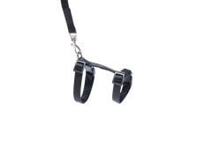 Karlie Kitten Ziggi Black Yavru Kedi Göğüs Tasması Takım Siyah