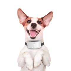 Doggie Köpek Havlama Önleyici Eğitim Tasması