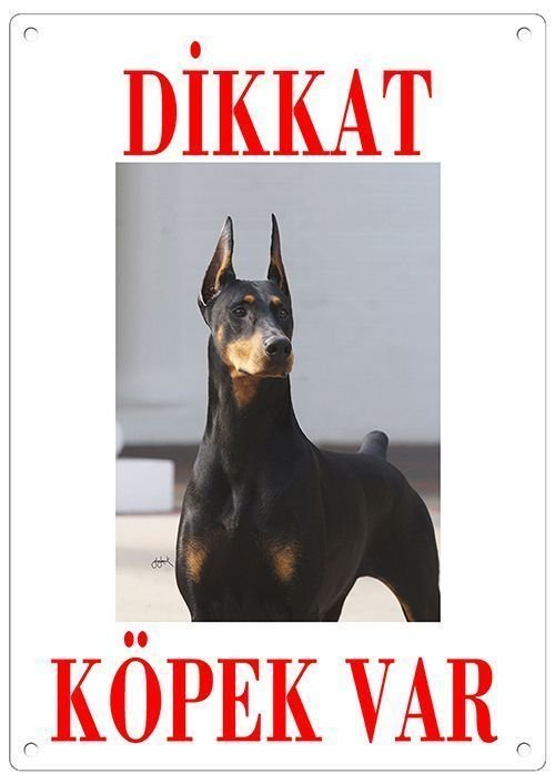 Dikkat Köpek Var Uyari Levhasi (Renkli Doberman)