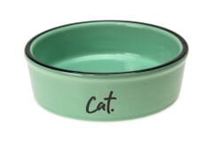 Karlie Yeşil Seramik Kedi Mama Kabı 200 ml