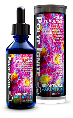 Brightwell Polyp Ignite 125 ml