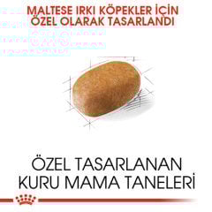 Royal Canin Maltese Adult 1,5 Kg Köpek Irk Maması