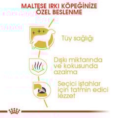 Royal Canin Maltese Adult 1,5 Kg Köpek Irk Maması