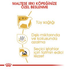 Royal Canin Maltese Adult 1,5 Kg Köpek Irk Maması