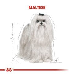 Royal Canin Maltese Adult 1,5 Kg Köpek Irk Maması
