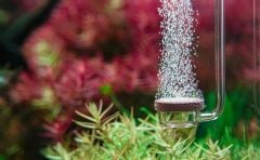 Aquario - Neo CO2 Diffuser Extend Special M