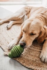 Beeztees Sumo Play Kauçuk Köpek Oyuncağı Green M