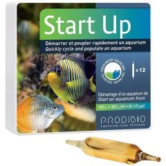 Prodibio Start Up 12 Ampül
