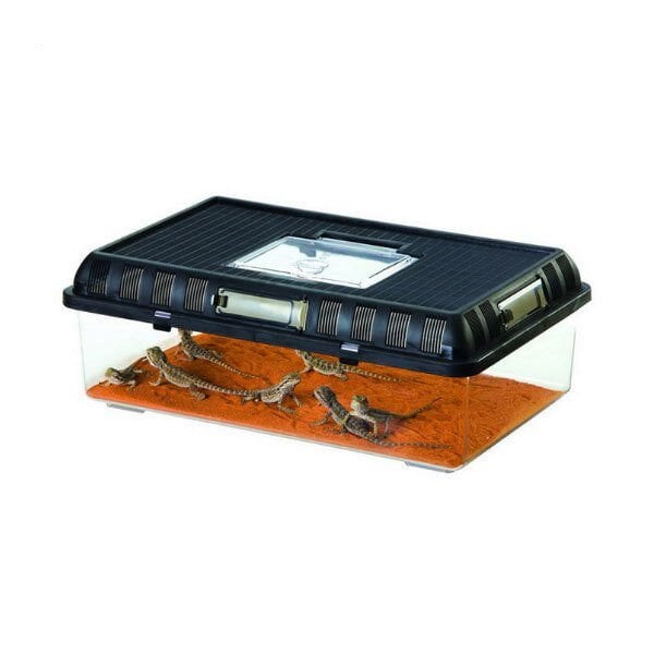 Hagen Exo-Terra Sürüngen Besleme Kutusu Large