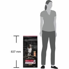 Proplan Medium Sensitive Skin Somonlu Yetişkin Köpek Maması 14 Kg