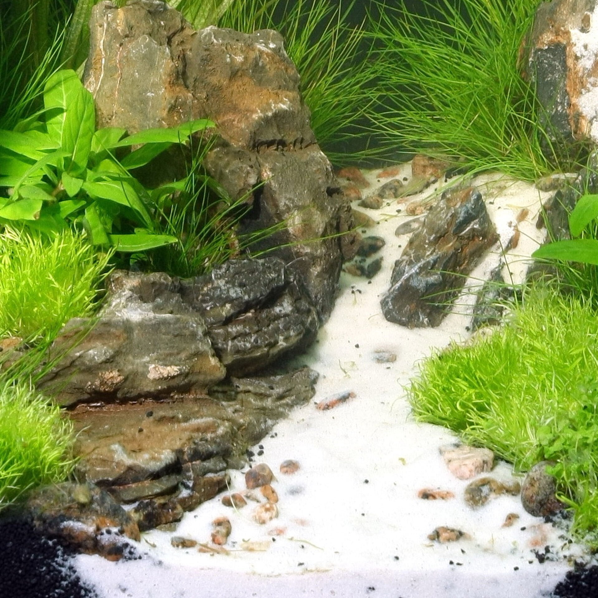 Jbl Sansibar White Nehir Kumu 0,4-1,4Mm 5 Kg