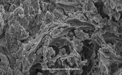 Aquario - Neo Plants Soil Normal 3 L