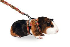 Karlie Harness With Leash Art Joy Mix Kemirgen Tasması