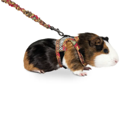 Karlie Harness With Leash Art Joy Mix Kemirgen Tasması