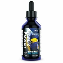 Brightwell Garlic Power Concentrated Garlic Supplement 60 ml