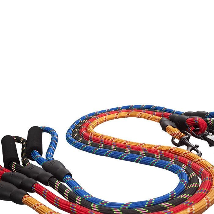 Polo SLL211 Fitil Köpek Gezdirme Tasması 12mm x 120cm