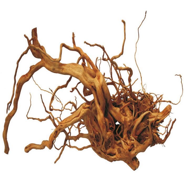 Chicos Driftwood Çöl Kütüğü Bağ 9-10 Kg