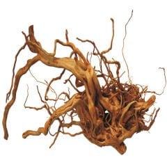 Chicos Driftwood Çöl Kütüğü Bağ 9-10 Kg