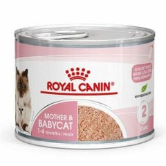 Royal Canin Mother Baby Cat Anne ve Yavru Kedi Yaş Mama 195 Gr