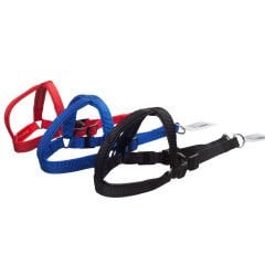 Polo SLL104 Köpek Göğüs Tasması 2,0cm x 47-62cm