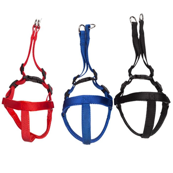 Polo SLL104 Köpek Göğüs Tasması 2,5cm*52-68cm