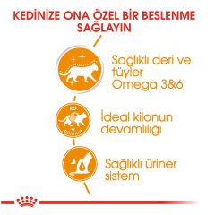 Royal Canin Hair&Skin Jelly Kedi Konservesi 85 Gr