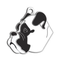 Dalis Pet Tag Boxer Köpek Künyesi Beyaz