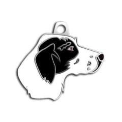 Dalis Pet Tag - Pointer Köpek Künyesi Siyah Beyaz