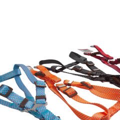 Polo SLL110 Ayarlı Köpek Göğüs Tasma 2,5cm x 50-70cm