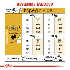 Royal Canin Pug Adult 1,5 Kg Köpek Irk Maması