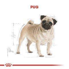 Royal Canin Pug Adult 1,5 Kg Köpek Irk Maması