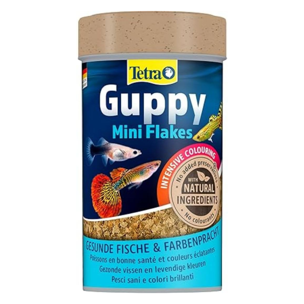 Lepistes Balık Yemi Tetra Guppy 100 ml