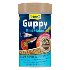 Lepistes Balık Yemi Tetra Guppy 100 ml