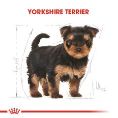 Royal Canin Yorkshire Terrier Puppy 1,5 Kg Yavru Köpek Irk Maması