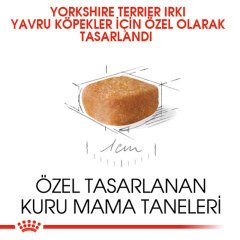 Royal Canin Yorkshire Terrier Puppy 1,5 Kg Yavru Köpek Irk Maması