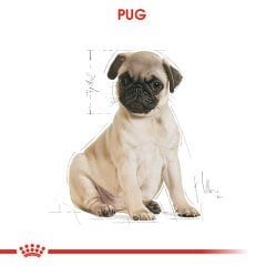 Royal Canin Pug Puppy 1,5 Kg Yavru Köpek Irk Maması