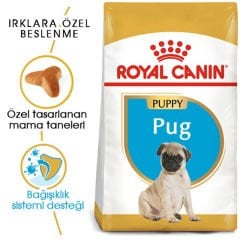 Royal Canin Pug Puppy 1,5 Kg Yavru Köpek Irk Maması