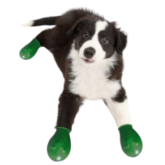 Alphadog Köpek Galoşu Yeşil XS
