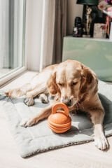 Beeztees Sumo Kettlebell Dog Toy Rubber Orange 16 x 12 x 12 cm