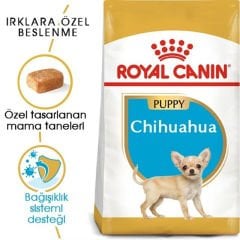 Royal Canin Chihuahua Puppy 1,5 Kg Yavru Köpek Maması