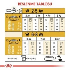 Royal Canin Chihuahua Puppy 1,5 Kg Yavru Köpek Maması