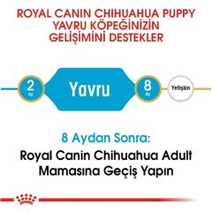 Royal Canin Chihuahua Puppy 1,5 Kg Yavru Köpek Maması